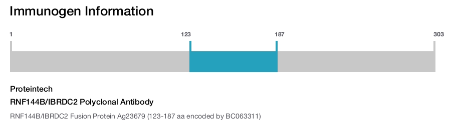 RNF144B/IBRDC2 Polyclonal Antibody