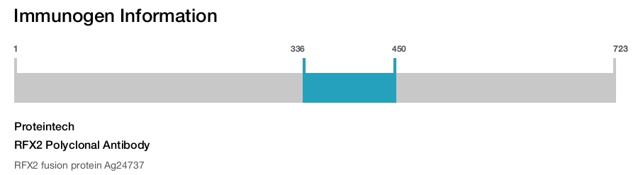 RFX2 Polyclonal Antibody