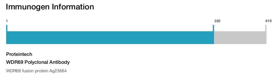 WDR69 Polyclonal Antibody