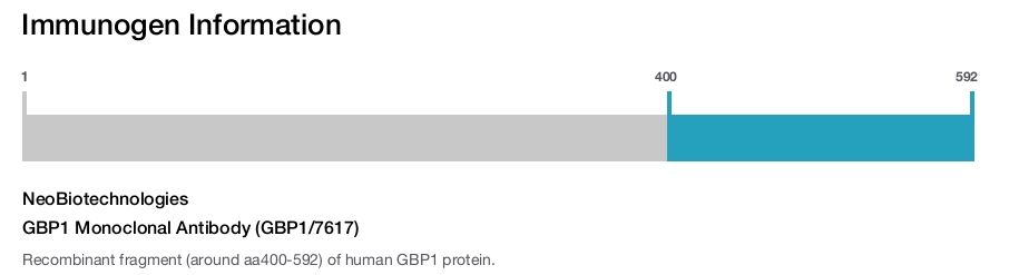 GBP1 Monoclonal Antibody (GBP1/7617)
