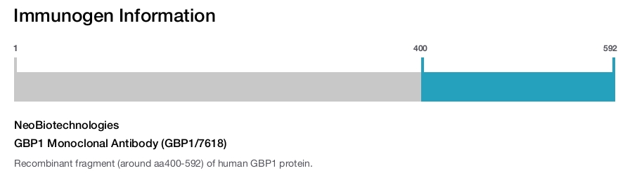 GBP1 Monoclonal Antibody (GBP1/7618)