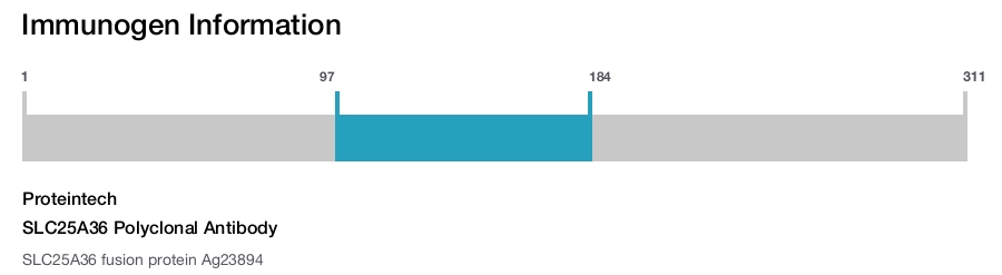 SLC25A36 Polyclonal Antibody