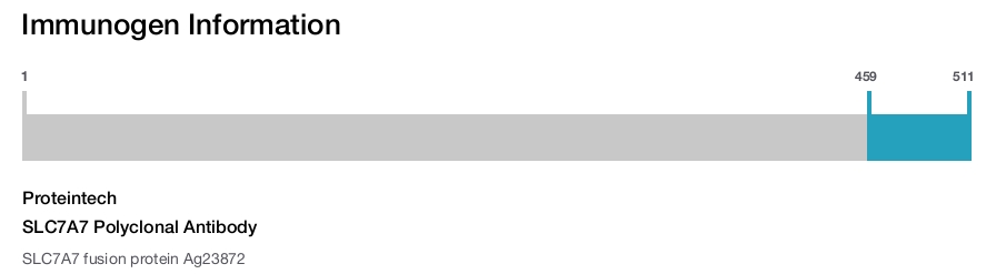 SLC7A7 Polyclonal Antibody