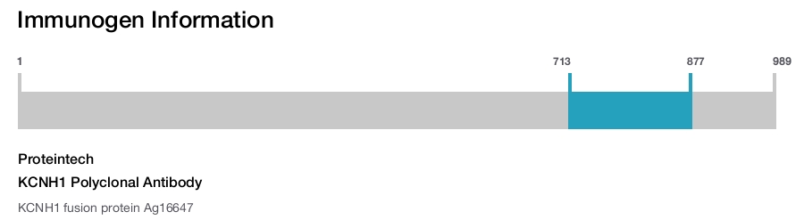 KCNH1 Polyclonal Antibody