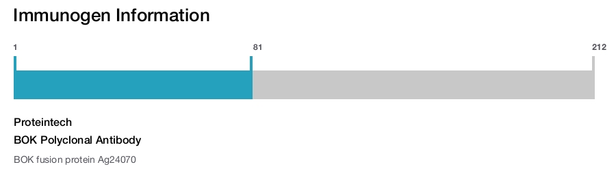BOK Polyclonal Antibody