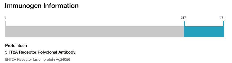 5HT2A Receptor Polyclonal Antibody