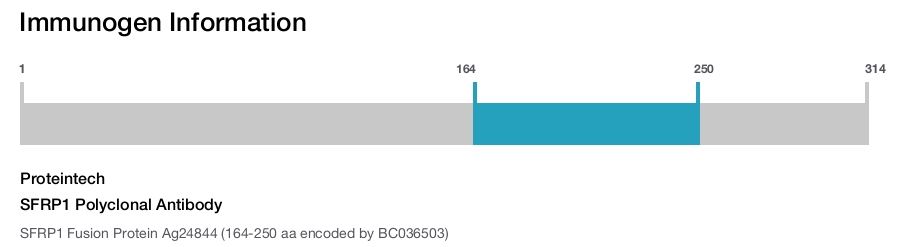 SFRP1 Polyclonal Antibody