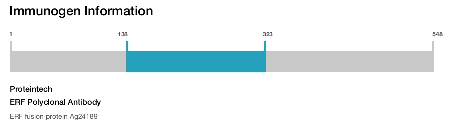ERF Polyclonal Antibody