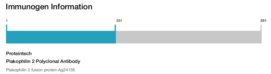 Plakophilin 2 Polyclonal Antibody