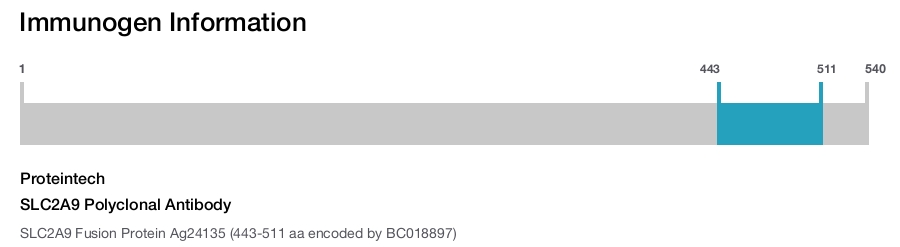 SLC2A9 Polyclonal Antibody
