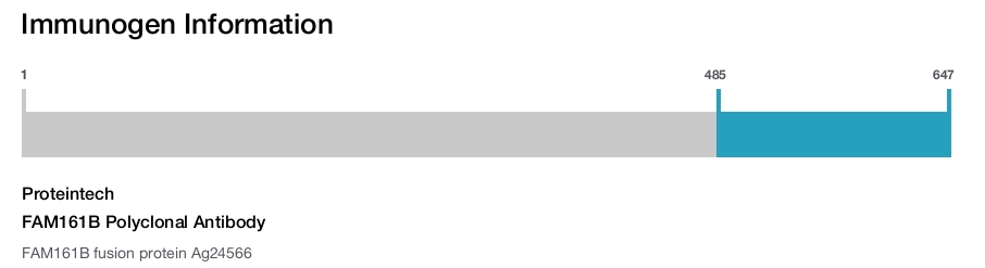 FAM161B Polyclonal Antibody
