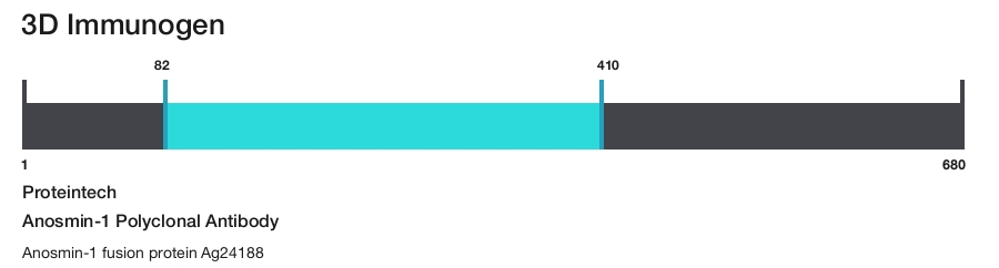 Anosmin-1 Polyclonal Antibody