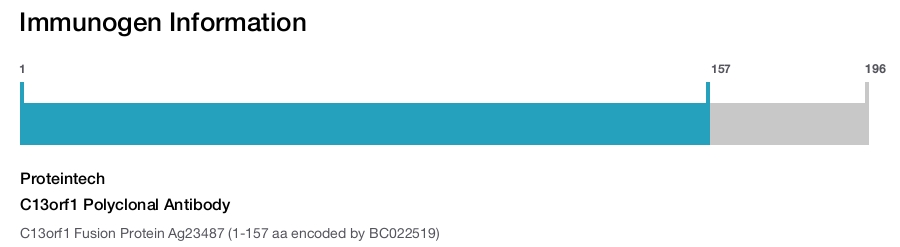 C13orf1 Polyclonal Antibody