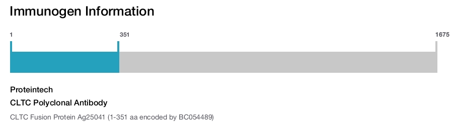 CLTC Polyclonal Antibody