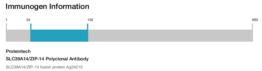 SLC39A14/ZIP-14 Polyclonal Antibody
