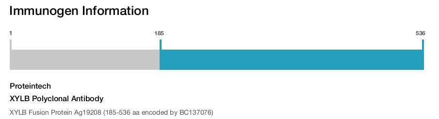 XYLB Polyclonal Antibody