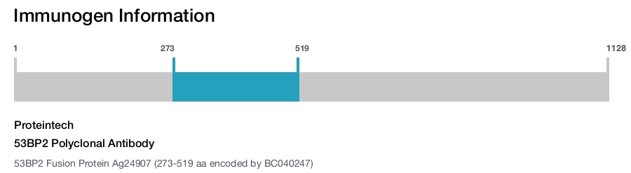 53BP2 Polyclonal Antibody