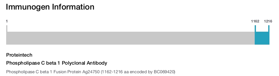 Phospholipase C beta 1 Polyclonal Antibody