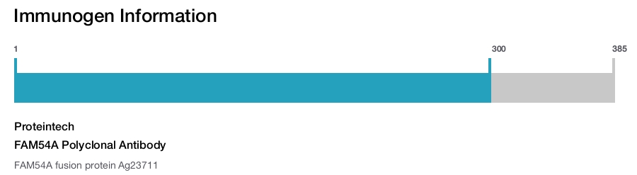 FAM54A Polyclonal Antibody