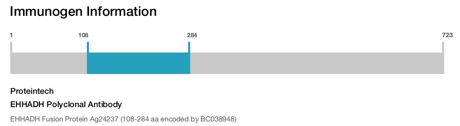 EHHADH Polyclonal Antibody
