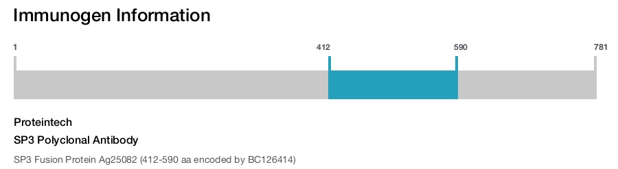 SP3 Polyclonal Antibody