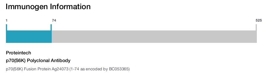 p70(S6K) Polyclonal Antibody