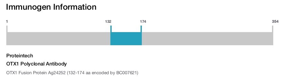 OTX1 Polyclonal Antibody