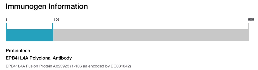 EPB41L4A Polyclonal Antibody