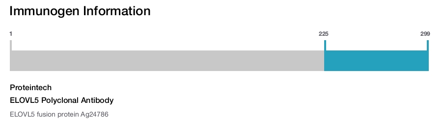 ELOVL5 Polyclonal Antibody