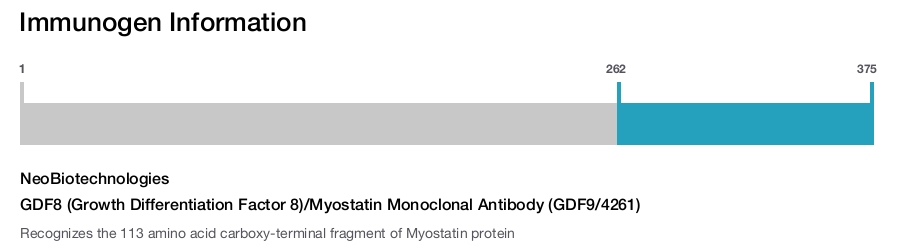 GDF8 (Growth Differentiation Factor 8)/Myostatin Monoclonal Antibody (GDF9/4261)
