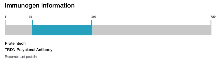 TRDN Polyclonal Antibody