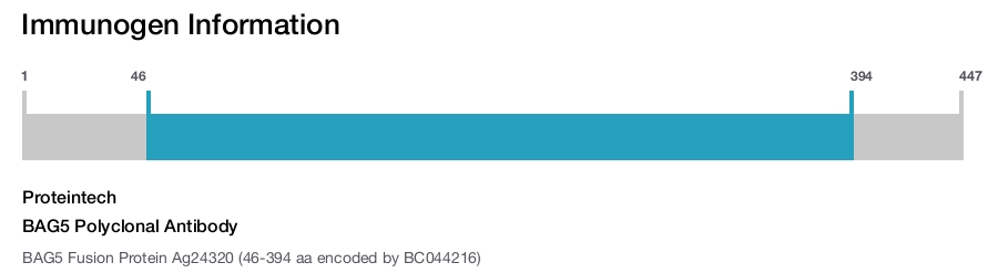 BAG5 Polyclonal Antibody
