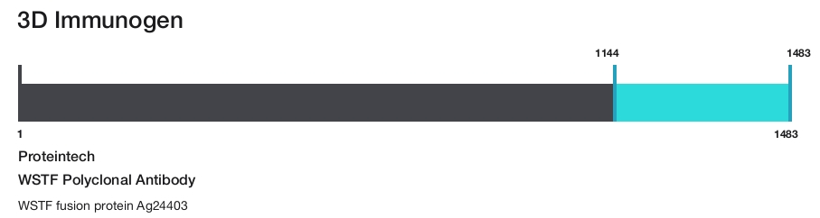 WSTF Polyclonal Antibody