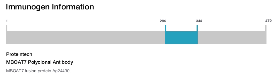 MBOAT7 Polyclonal Antibody