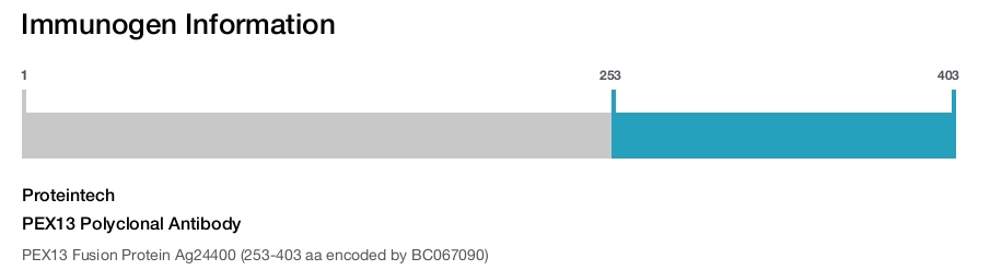 PEX13 Polyclonal Antibody