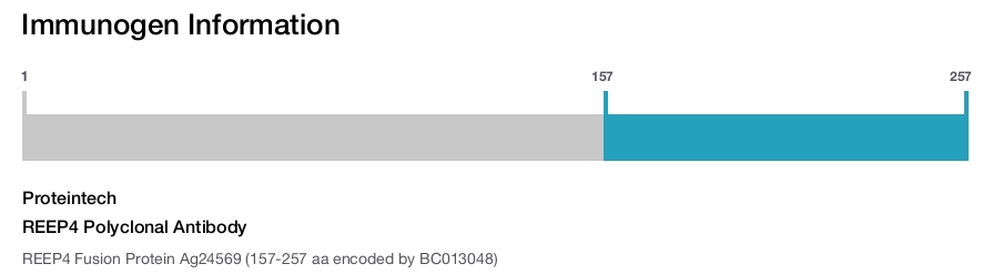 REEP4 Polyclonal Antibody