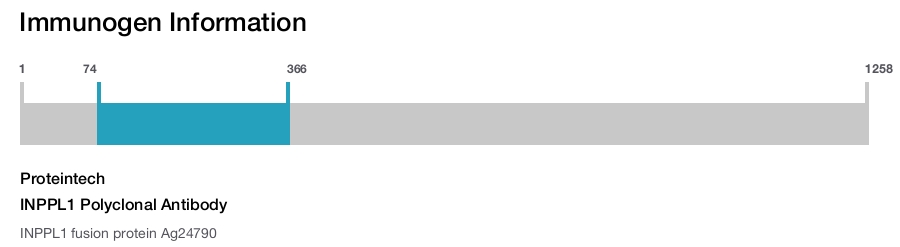 INPPL1 Polyclonal Antibody