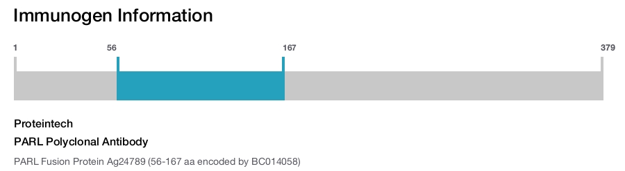 PARL Polyclonal Antibody