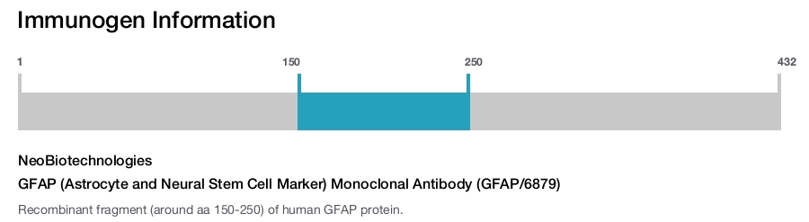 GFAP (Astrocyte and Neural Stem Cell Marker) Monoclonal Antibody (GFAP/6879)