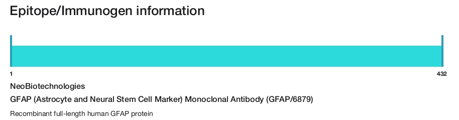 GFAP (Astrocyte and Neural Stem Cell Marker) Monoclonal Antibody (GFAP/6879)
