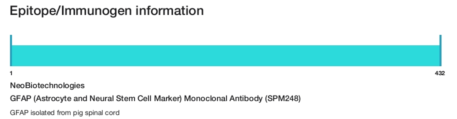 GFAP (Astrocyte and Neural Stem Cell Marker) Monoclonal Antibody (SPM248)