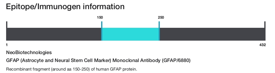GFAP (Astrocyte and Neural Stem Cell Marker) Monoclonal Antibody (GFAP/6880)