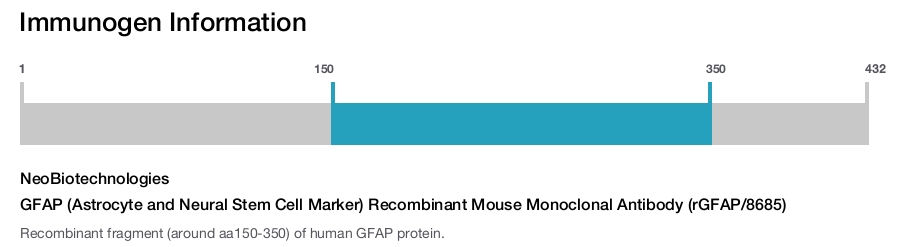 GFAP (Astrocyte and Neural Stem Cell Marker) Recombinant Mouse Monoclonal Antibody (rGFAP/8685)