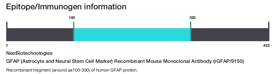 GFAP (Astrocyte and Neural Stem Cell Marker) Recombinant Mouse Monoclonal Antibody (rGFAP/9150)
