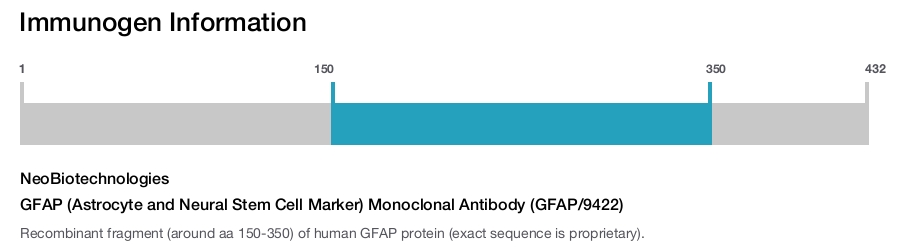 GFAP (Astrocyte and Neural Stem Cell Marker) Monoclonal Antibody (GFAP/9422)