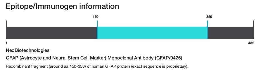 GFAP (Astrocyte and Neural Stem Cell Marker) Monoclonal Antibody (GFAP/9426)