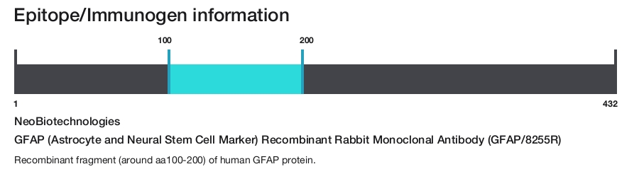 GFAP (Astrocyte and Neural Stem Cell Marker) Recombinant Rabbit Monoclonal Antibody (GFAP/8255R)