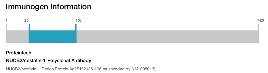 NUCB2/nesfatin-1 Polyclonal Antibody