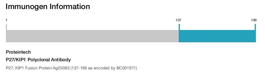 P27/KIP1 Polyclonal Antibody