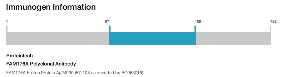 FAM176A Polyclonal Antibody